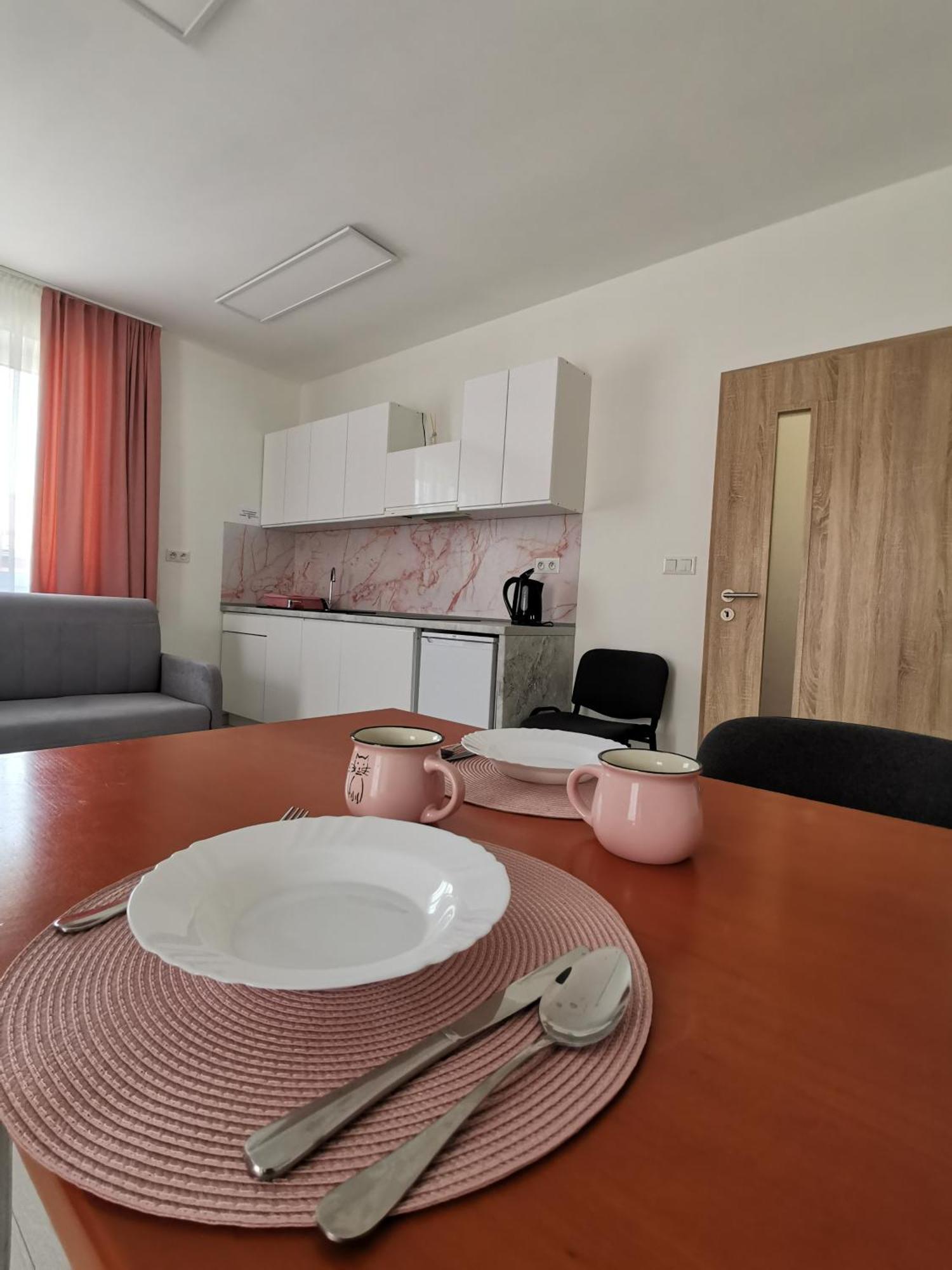Comenius Apartments - Apartmany Na Rohu Svidnik Extérieur photo